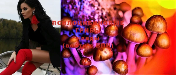 прущие крисы Богданович