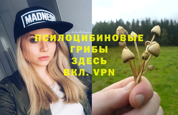 прущие крисы Богданович