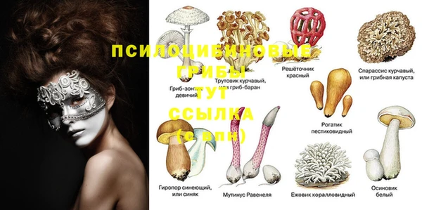 PSILOCYBIN Наволоки